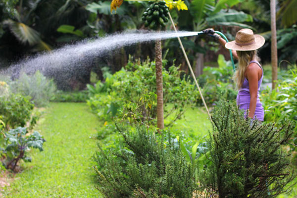 garden-watering